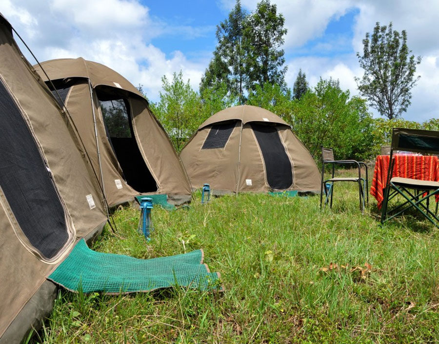 9 Days Kenya and Tanzania Budget Safari