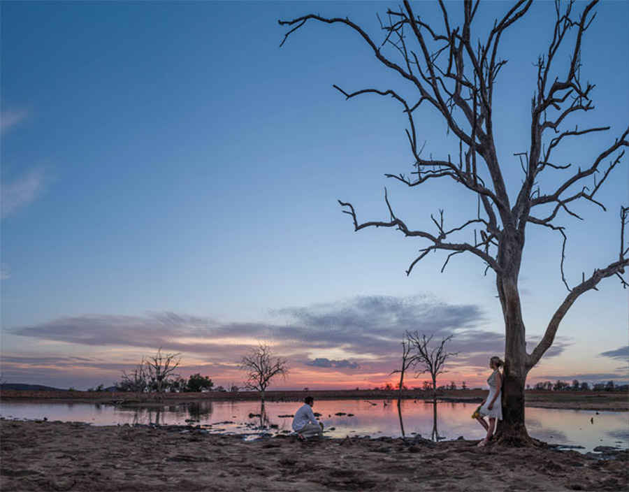 8 Days Kenya and Tanzania Big Five Lodge Safari