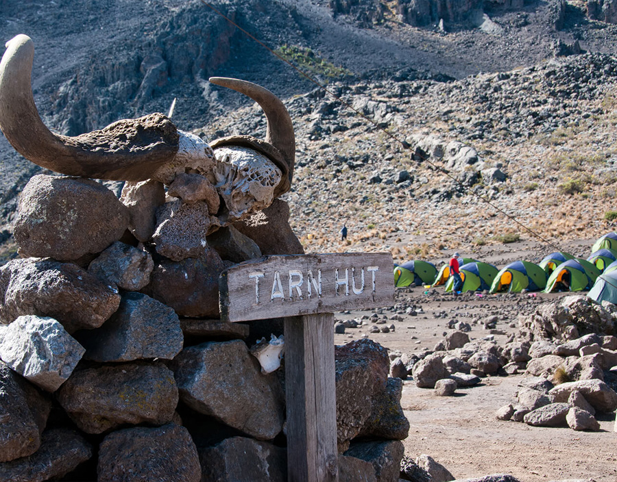 07 Days Mount Kilimanjaro Climb - Lemosho Route